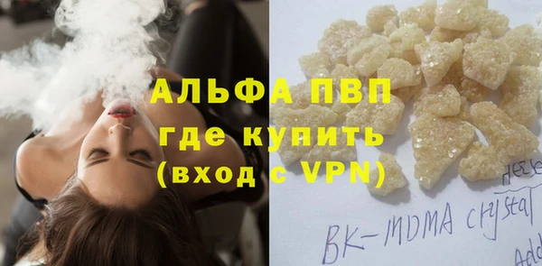 индика Аркадак