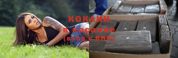 индика Аркадак