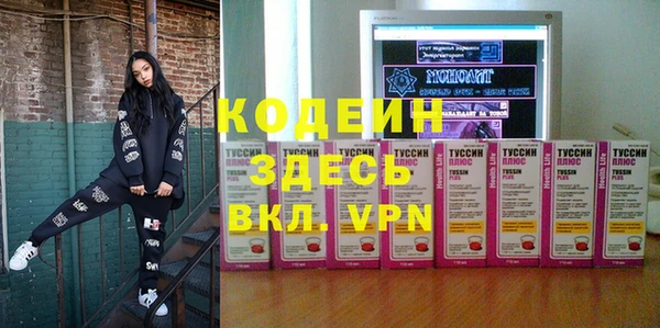 индика Аркадак