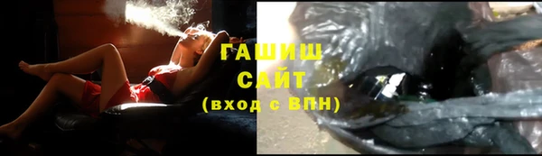 индика Аркадак