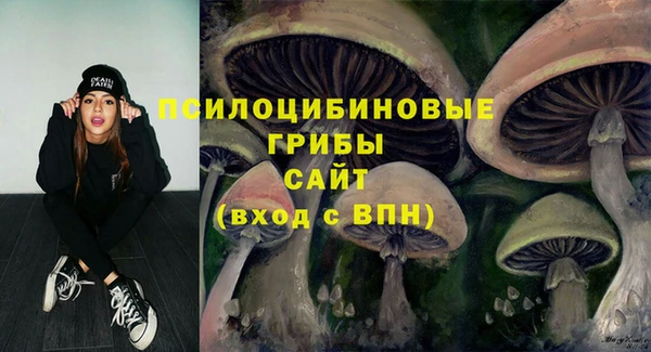 герыч Арсеньев