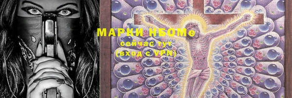 индика Аркадак