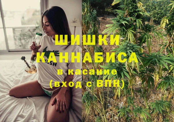 индика Аркадак