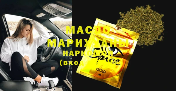 индика Аркадак