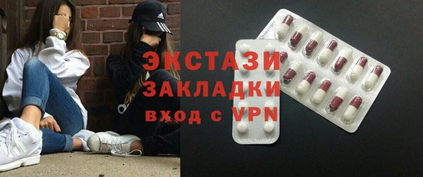 индика Аркадак