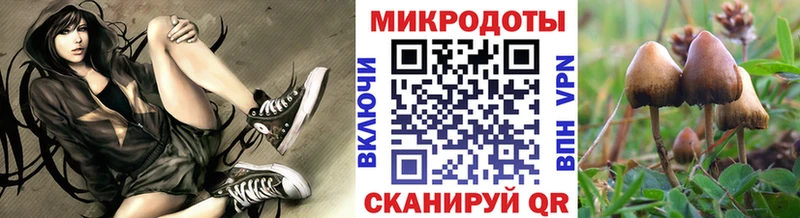 Галлюциногенные грибы мухоморы  Среднеуральск 